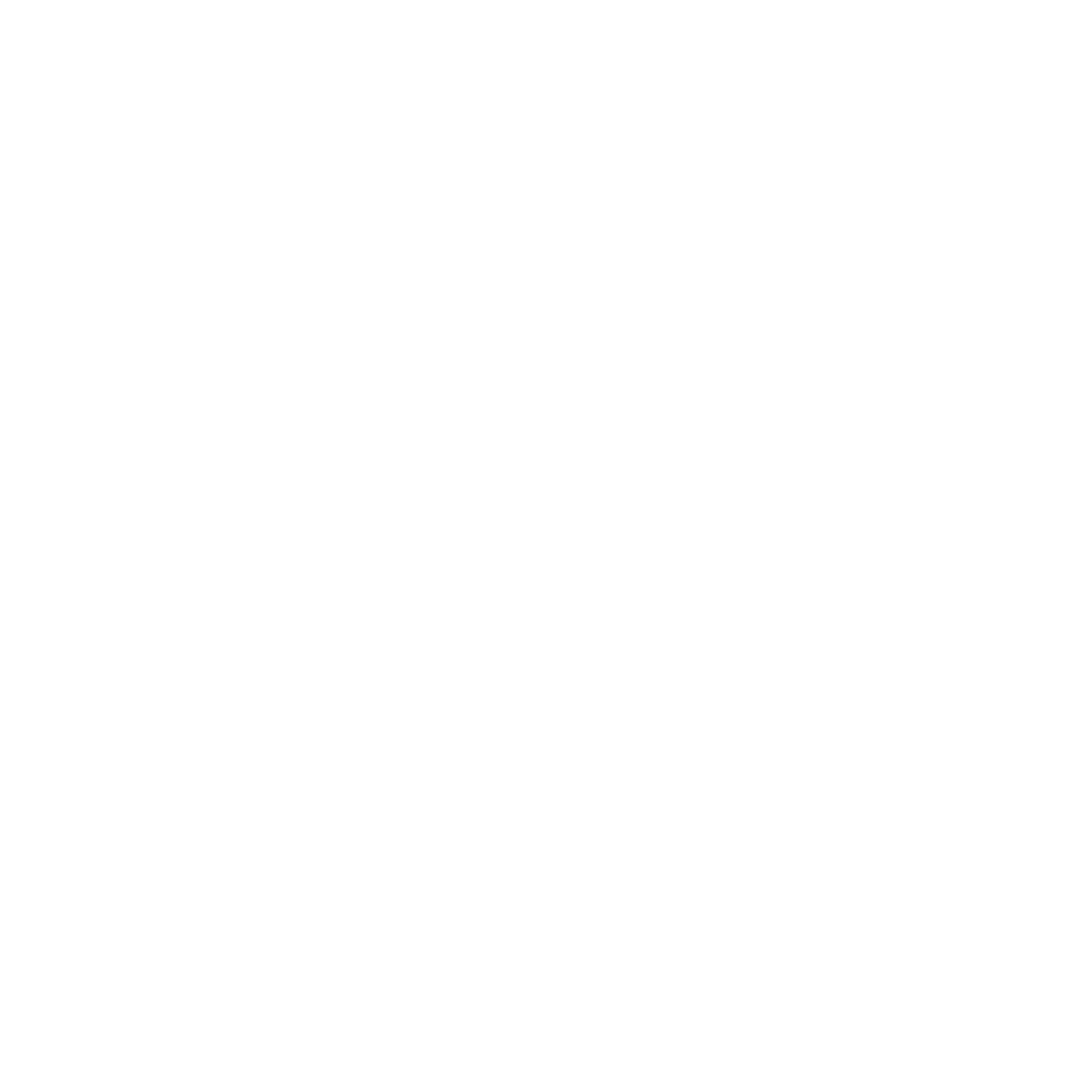 Ballerinis logo weiß
